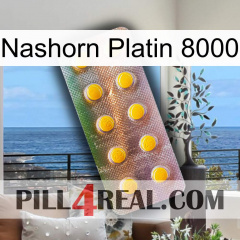 Rhino Platinum 8000 new11